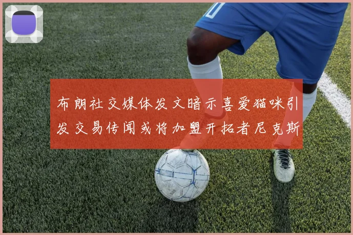 布朗社交媒体发文暗示喜爱猫咪引发交易传闻或将加盟开拓者尼克斯雷霆湖人