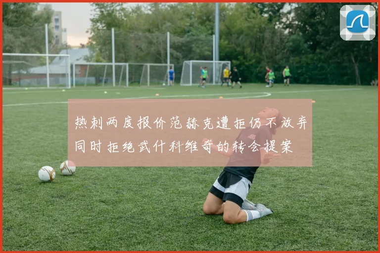 热刺两度报价范赫克遭拒仍不放弃同时拒绝武什科维奇的转会提案
