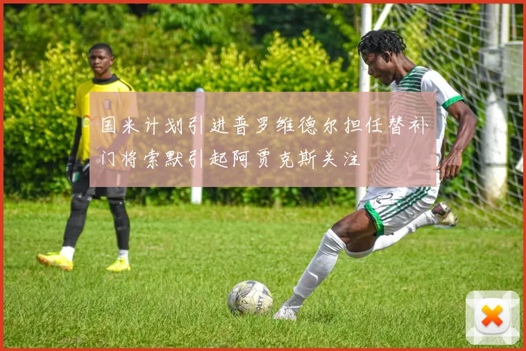 国米计划引进普罗维德尔担任替补门将索默引起阿贾克斯关注