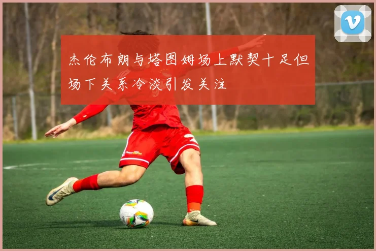 杰伦布朗与塔图姆场上默契十足但场下关系冷淡引发关注